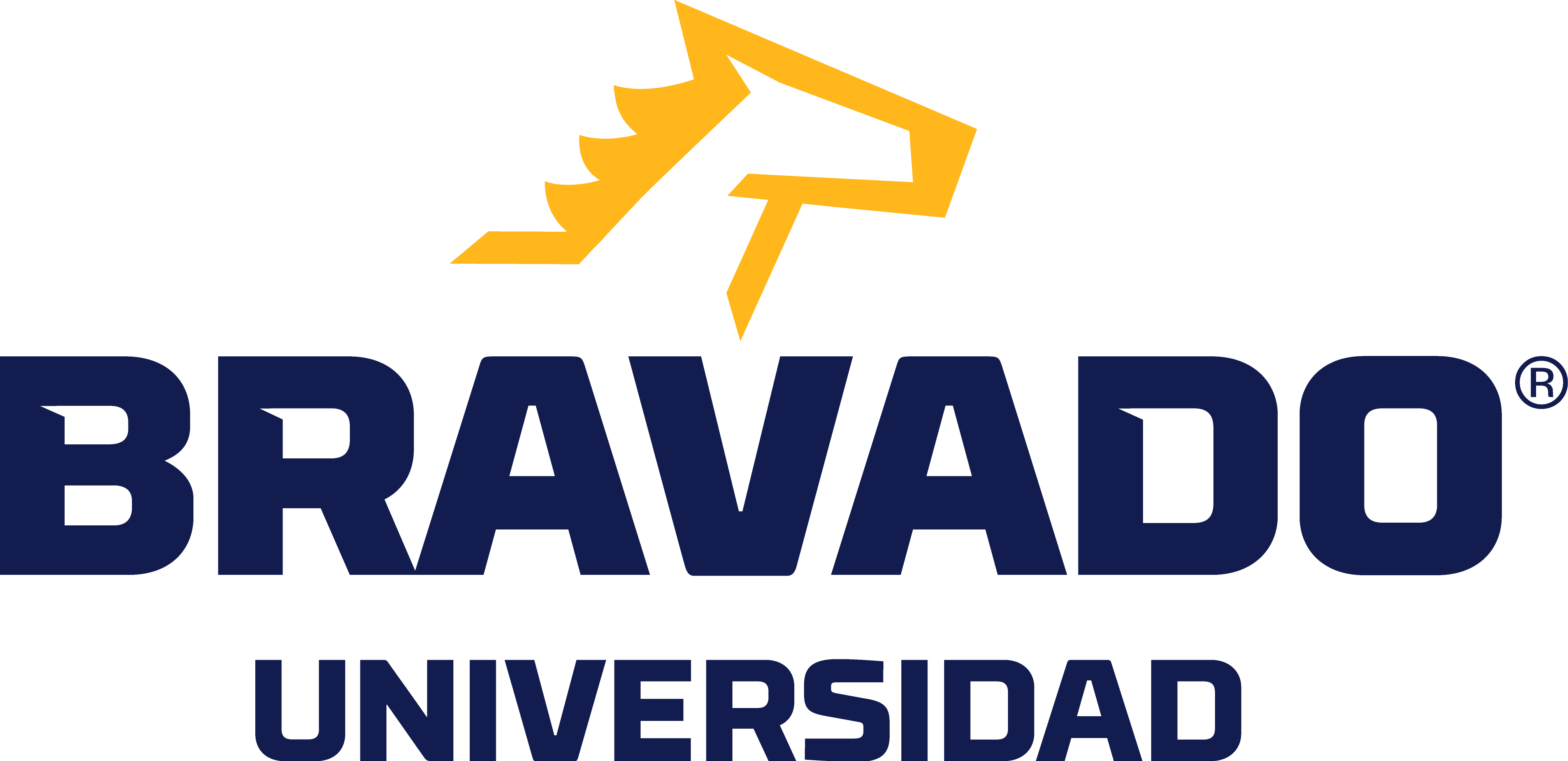 Universidad Bravado